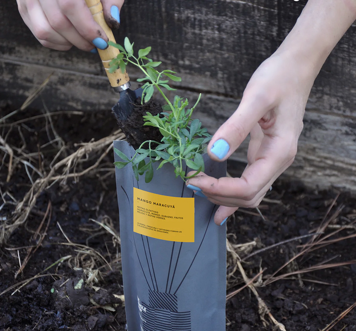 Difusor de Ambientes Basic Compost Mango Maracuya