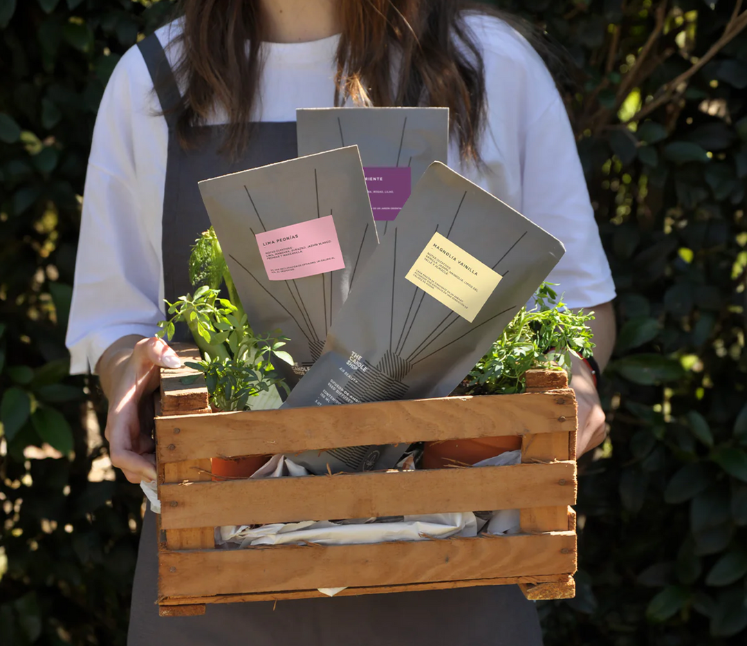 Difusor de Ambientes Basic Compost Nectarine