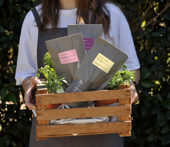Difusor de Ambientes Basic Compost Nectarine