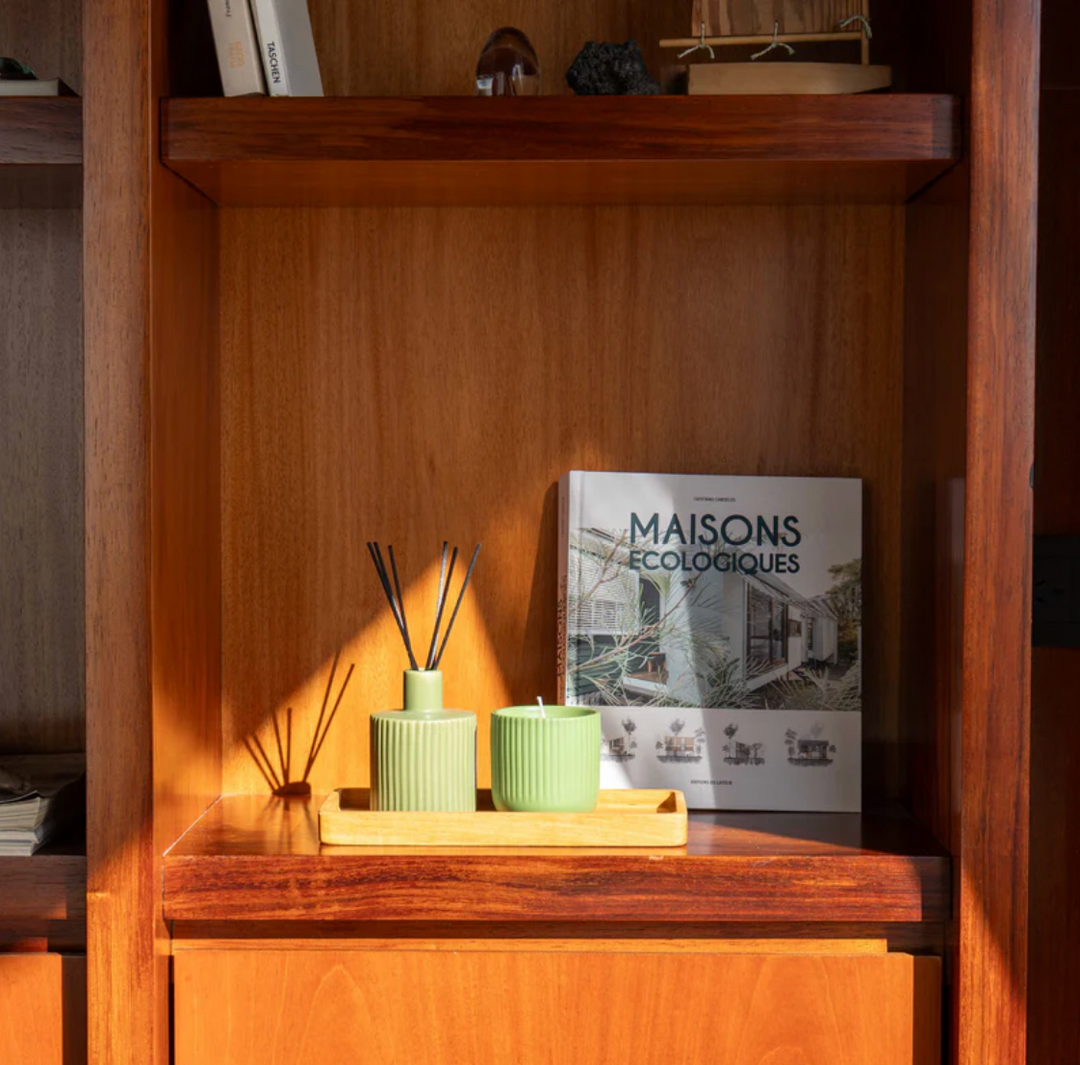 Vela M Oasis X The Body