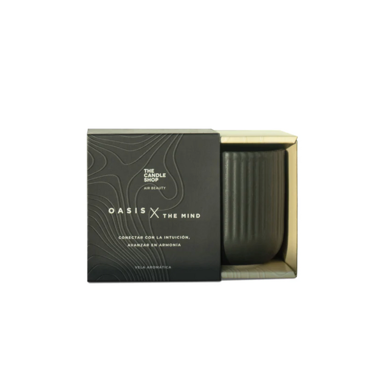 Vela M Oasis X The Mind