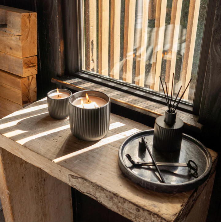 Vela M Oasis X The Mind